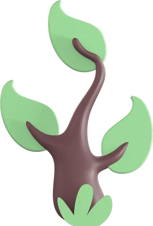 Arbre  3D Illustration