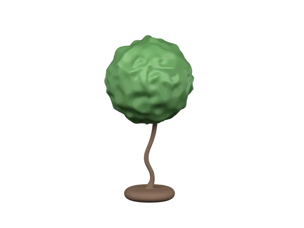 Arbre  3D Illustration