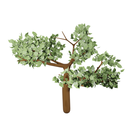 Même un arbre  3D Icon