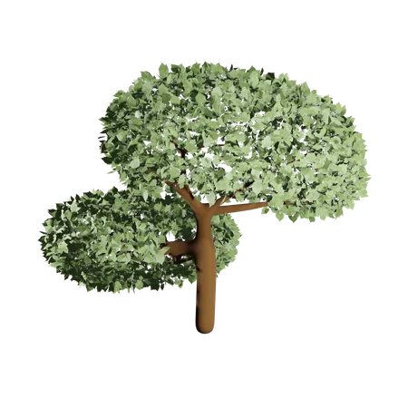 Arbre fertile  3D Icon