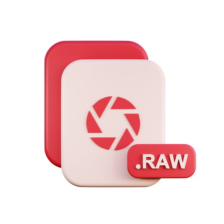 Archivo RAW  3D Icon