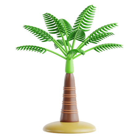 Areca Palm  3D Icon