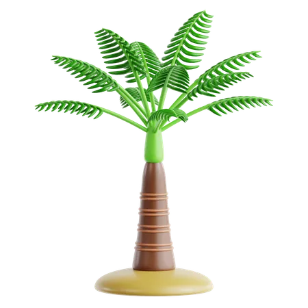 Palmeira areca  3D Icon