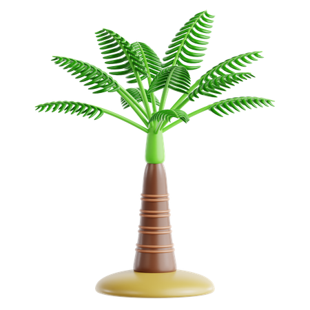 Areca Palm  3D Icon
