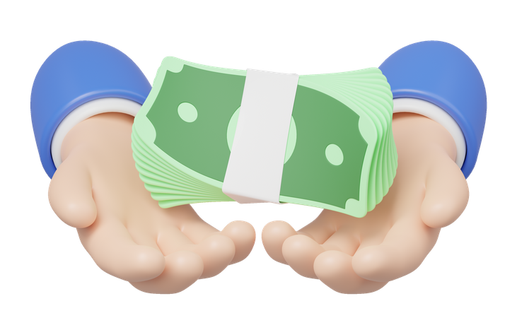 Paquet d'argent en main  3D Icon
