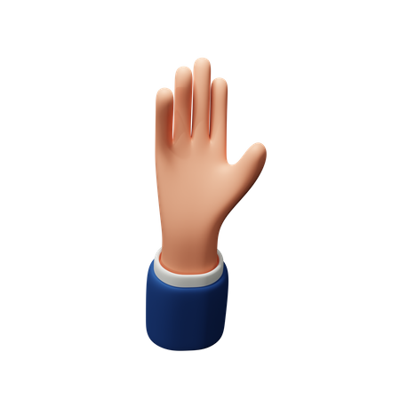Arrêter le geste de la main  3D Icon