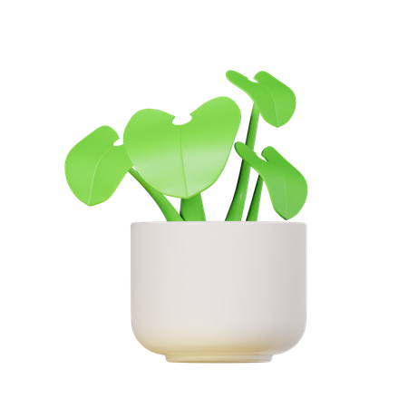 Arrowhead Plant  3D Icon
