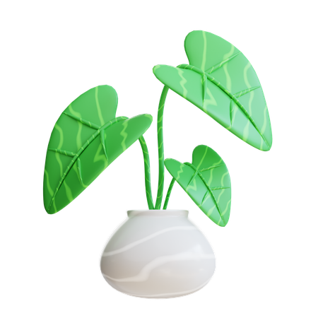 Arrowhead Plant  3D Icon