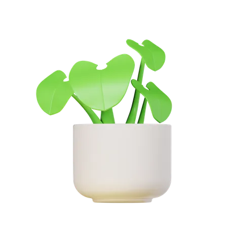 Arrowhead Plant  3D Icon