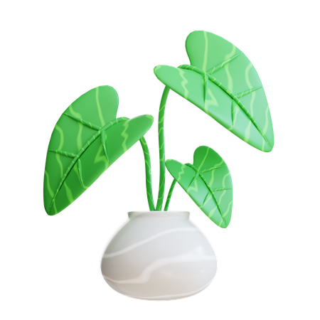 Arrowhead Plant  3D Icon