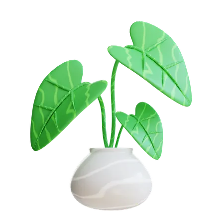 Arrowhead Plant  3D Icon