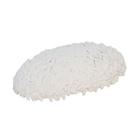 Arroz  3D Illustration