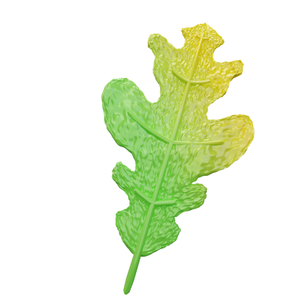 Arugula  3D Icon