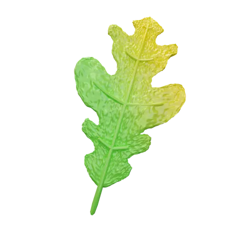 Arugula  3D Icon