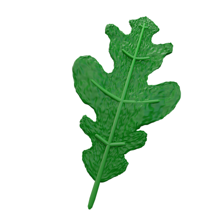 Arugula  3D Icon