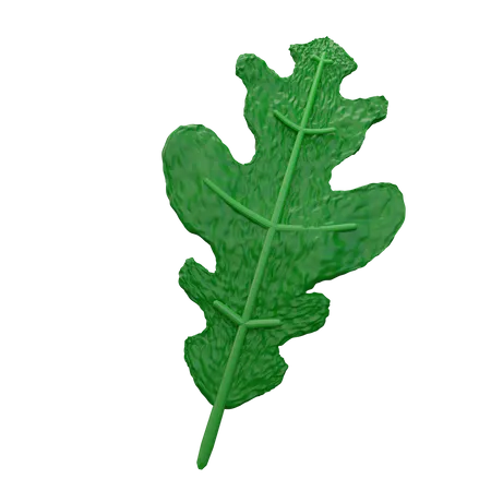 Arugula  3D Icon