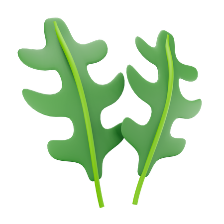 Arugula  3D Illustration