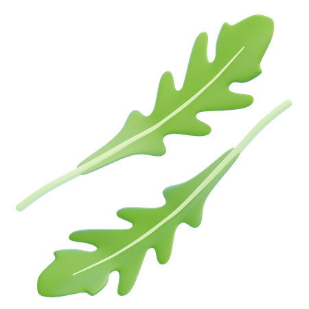 Arugula Leaf  3D Icon