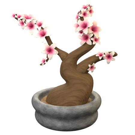 Árvore bonsai de sakura  3D Icon