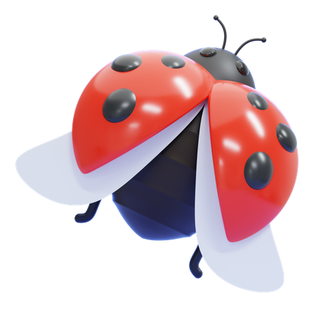 Asas de joaninha abertas  3D Icon