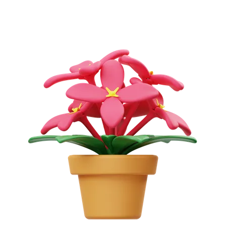 Asoca Flower Pot  3D Icon