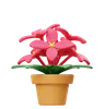 Asoca Flower Pot