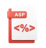Asp File