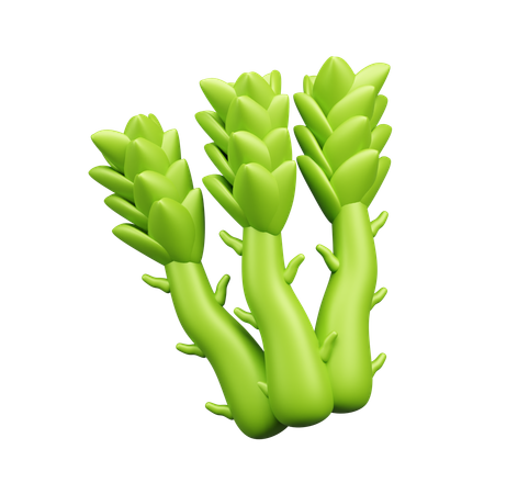 Asparagus  3D Icon