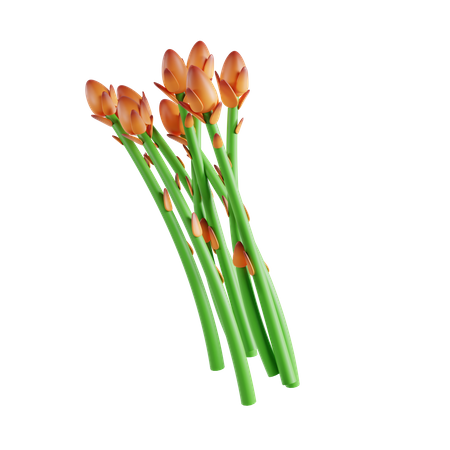 Asparagus  3D Icon