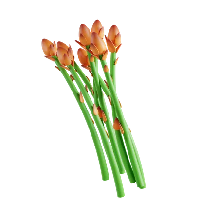 Asparagus  3D Icon