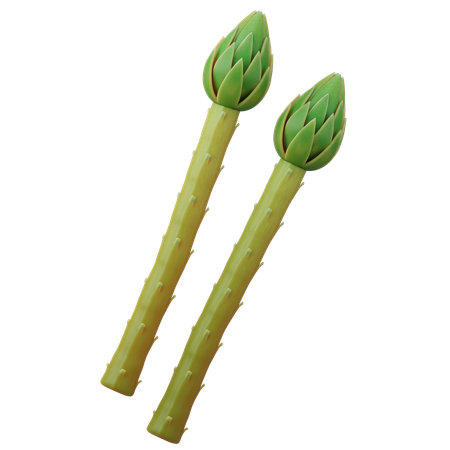 Asparagus  3D Icon