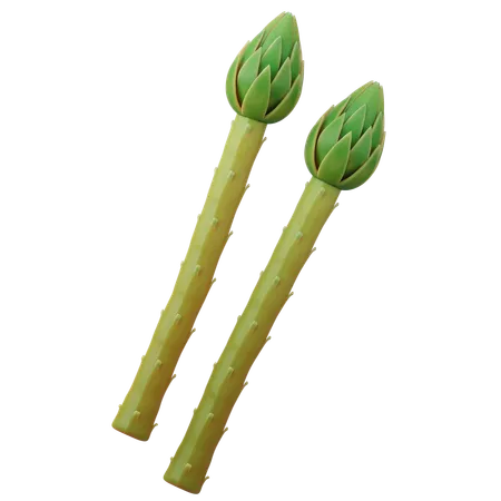 Asparagus  3D Icon