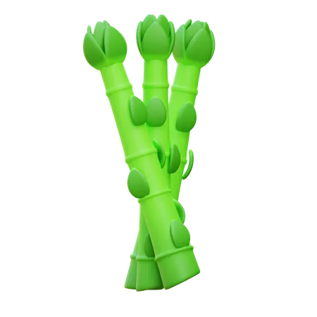 Asparagus  3D Icon