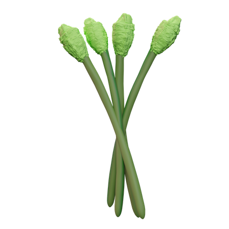 Asparagus  3D Icon