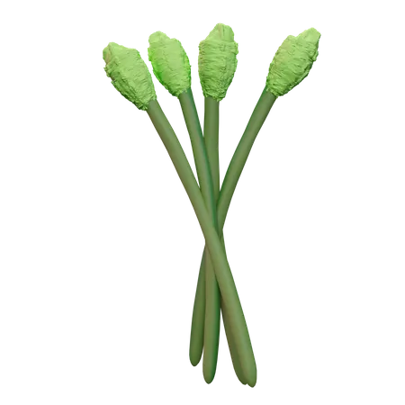 Asparagus  3D Icon