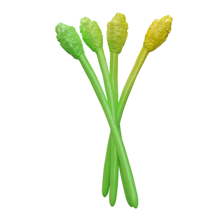 Asparagus  3D Icon