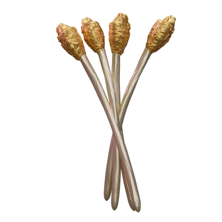 Asparagus  3D Icon