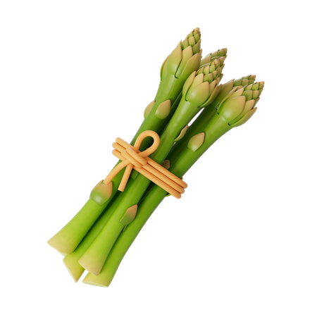 Asparagus  3D Icon
