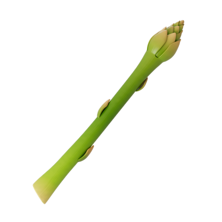 Asparagus  3D Icon