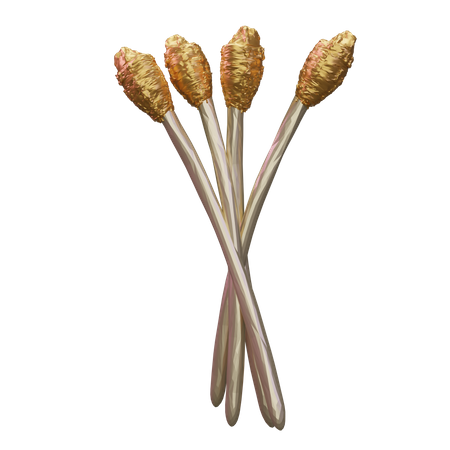 Asparagus  3D Icon