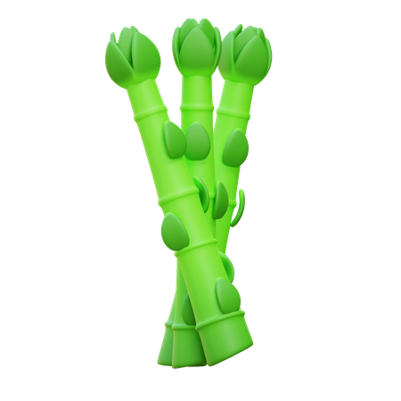 Asparagus  3D Icon