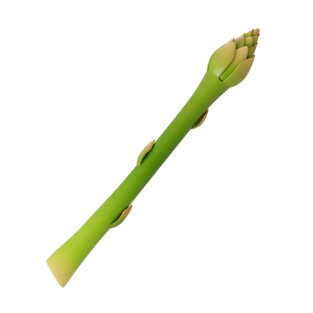 Asparagus  3D Illustration