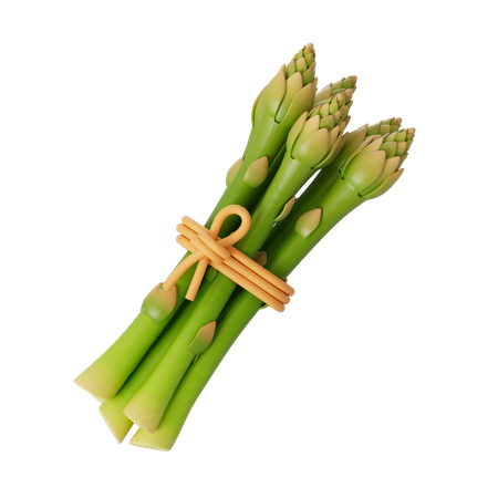 Asparagus  3D Illustration