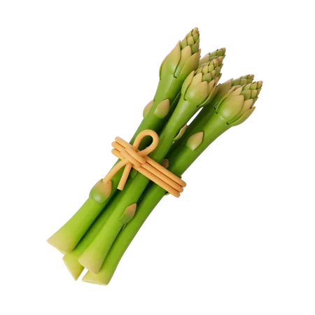 Asparagus  3D Illustration