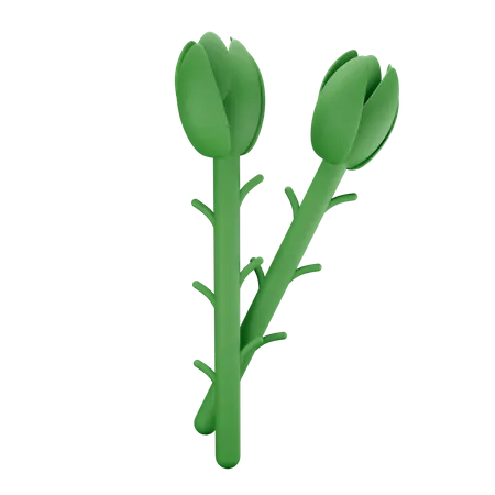 Asparagus  3D Illustration