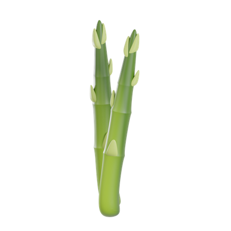 Asparagus  3D Illustration