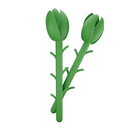 Asparagus 3D Illustration