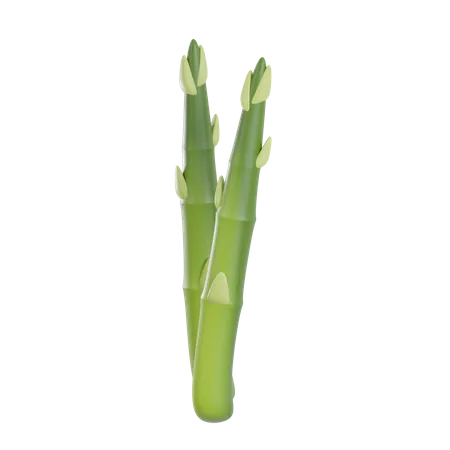 3 D Render Asparagus Object 3D Illustration