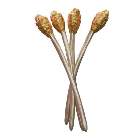 Asparagus 3D Icon