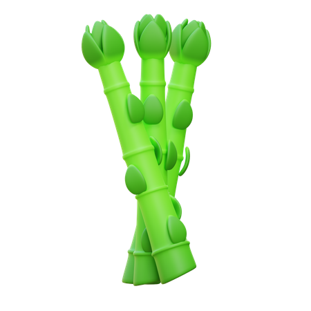 Asparagus  3D Icon